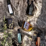 slection of evoos in olive tree trunk