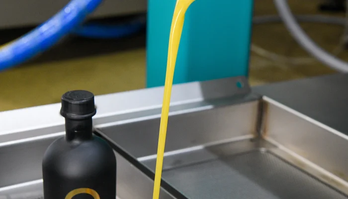 Cold Extraction Process Demonstration