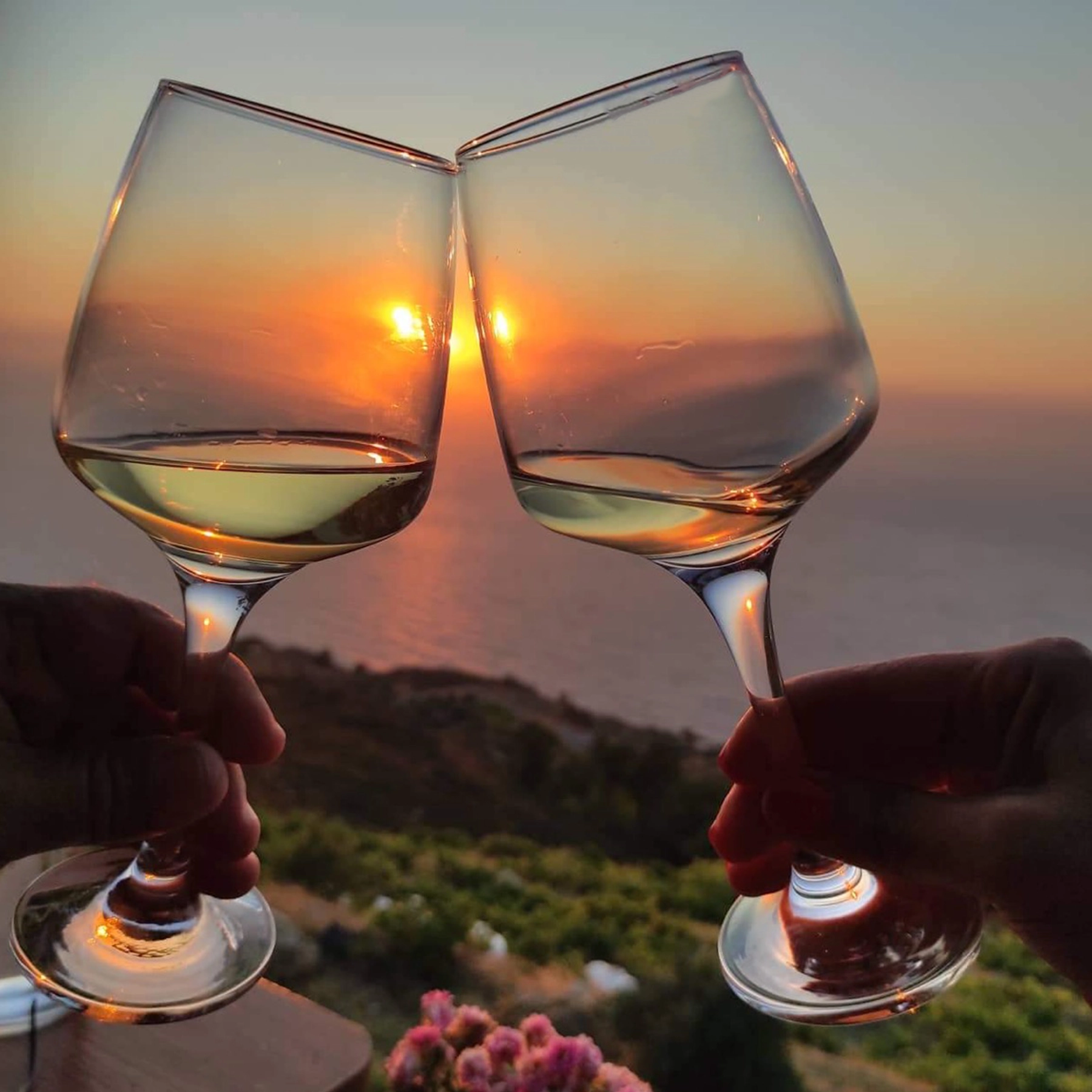 White Wine Wine Taste Testing Near Me Dry White Wine Begleri