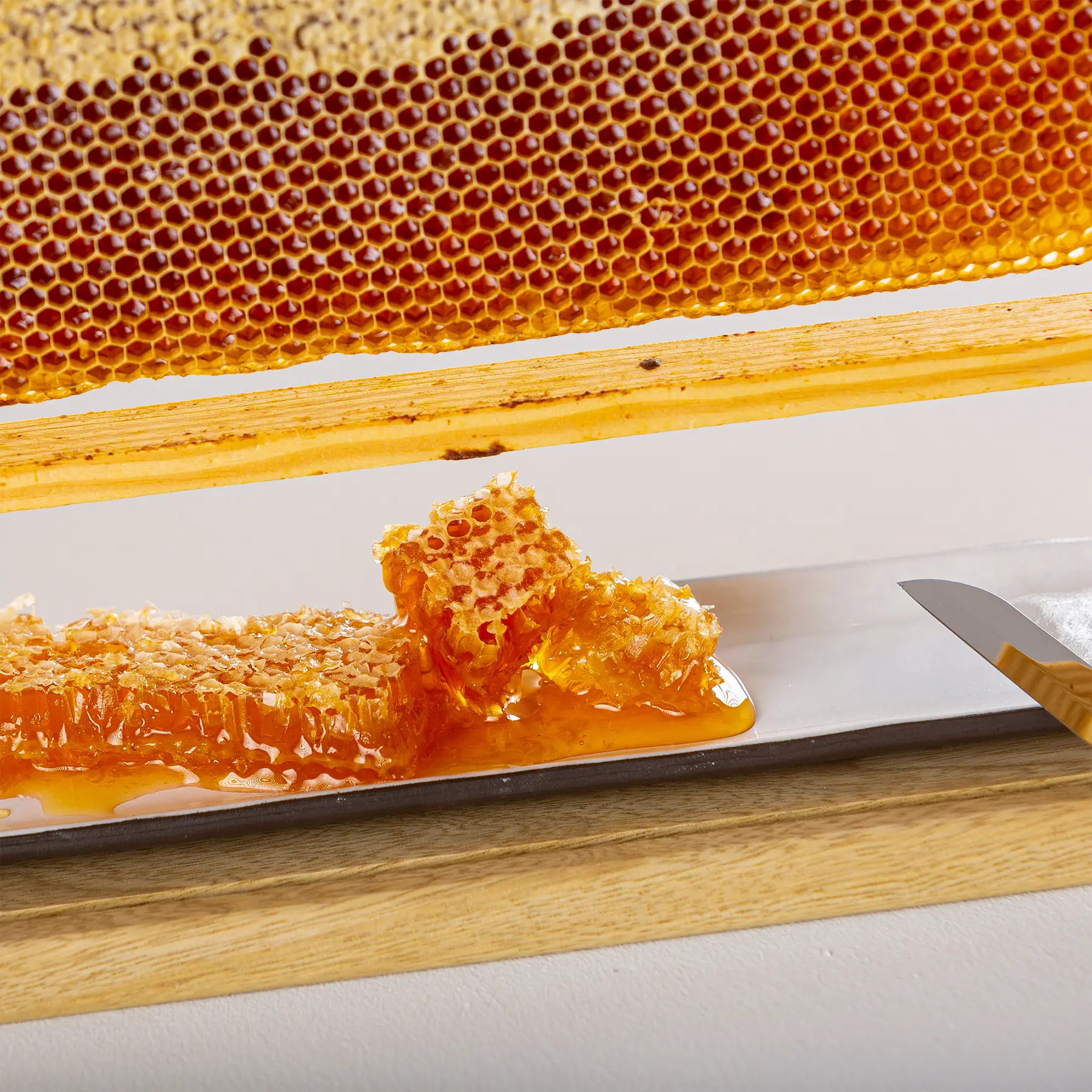 Navarino Icons Pure Greek Honey With Fresh Honeycomb - 14oz Jar, Award-Winning