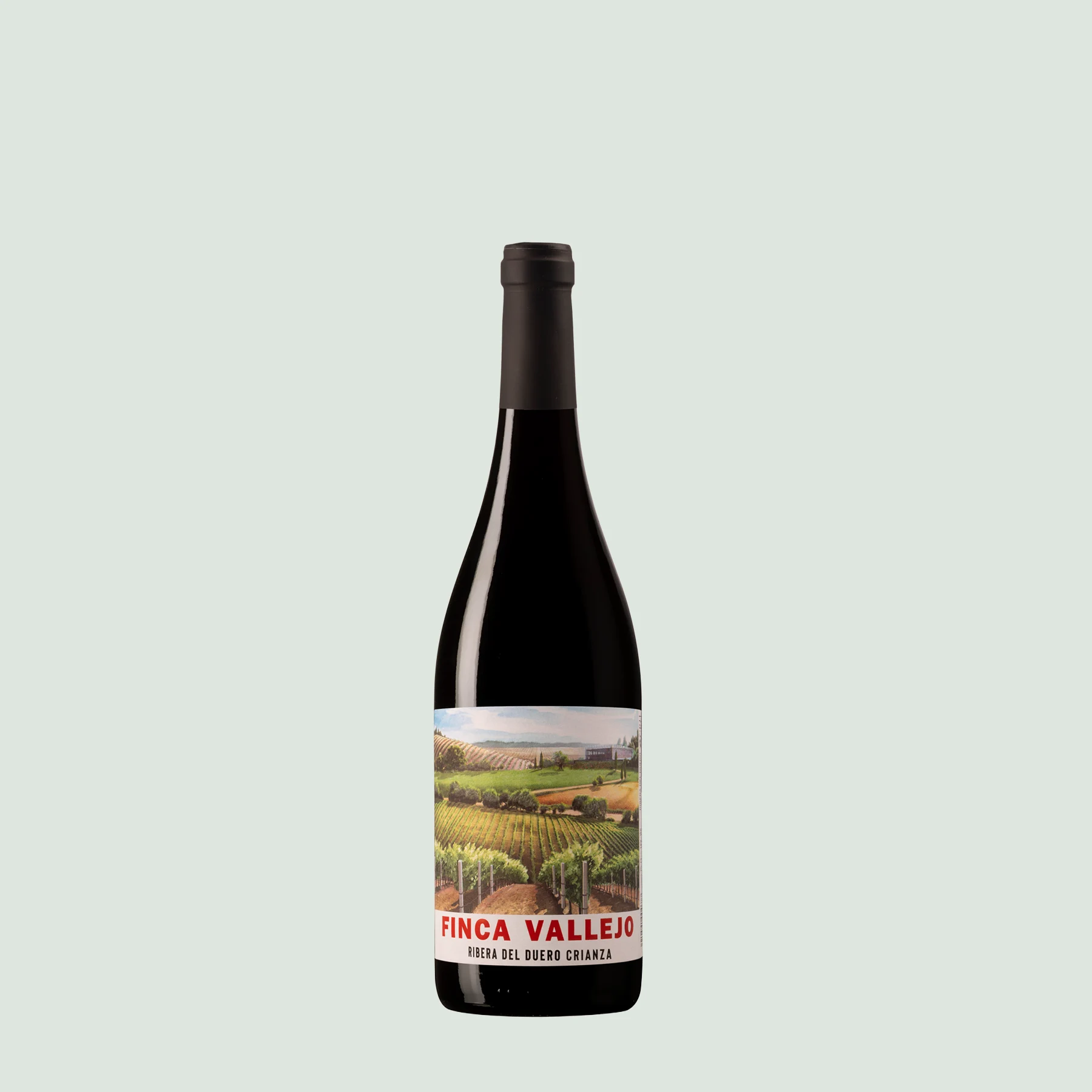 Finca Vallejo Crianza 2020 Spanish red wine bottle from Ribera del Duero Finca Vallejo Crianza 2020 Spanish red wine bottle from Ribera del Duero