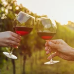 Testing Red Dry Wine