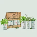 Nobleza del Sur Garden Olive gift set with 4 Premium Organic EVOO tins