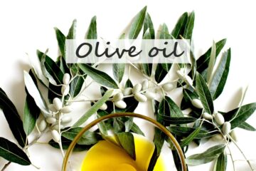 olive oil tree branch