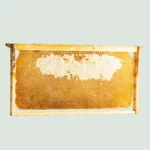 Raw Greek Honeycomb Refill – Pure & Unframed