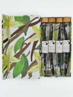 A box containing four vanilla pods in glass tubes by Vanissa. The box has a botanical design with vanilla flowers and pods. The vanilla pods are of two varieties: Bourbon Madagascar and D'Ouganda Planifolia, labeled.